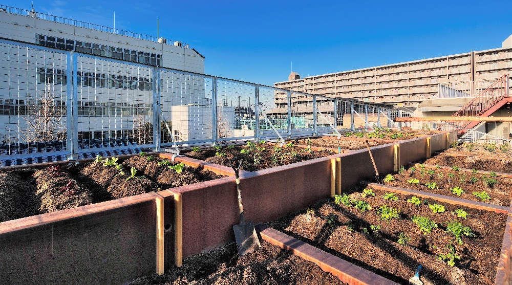 登録建築家・吉村靖孝氏と協働し、旗竿敷地の最適な有効活用を提案。その解は“屋上菜園付きテラスハウス”